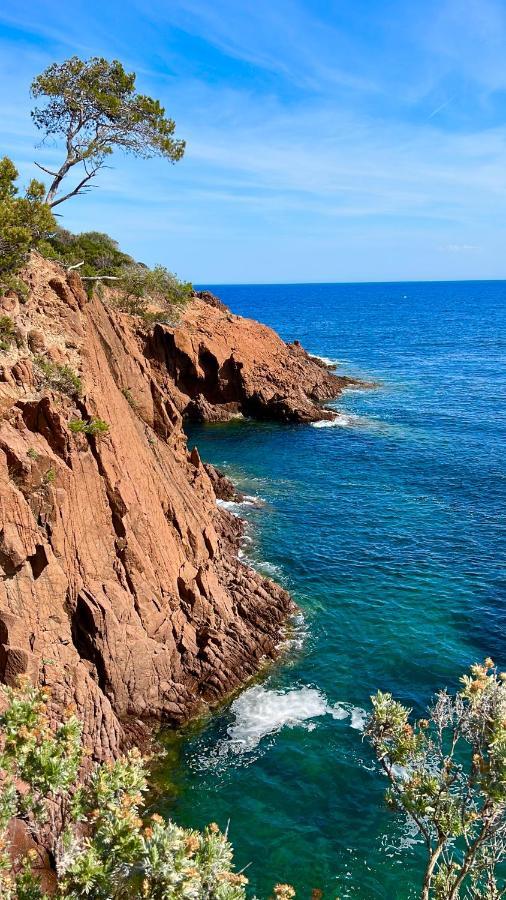 Les Cactus Frejus Plage Екстер'єр фото