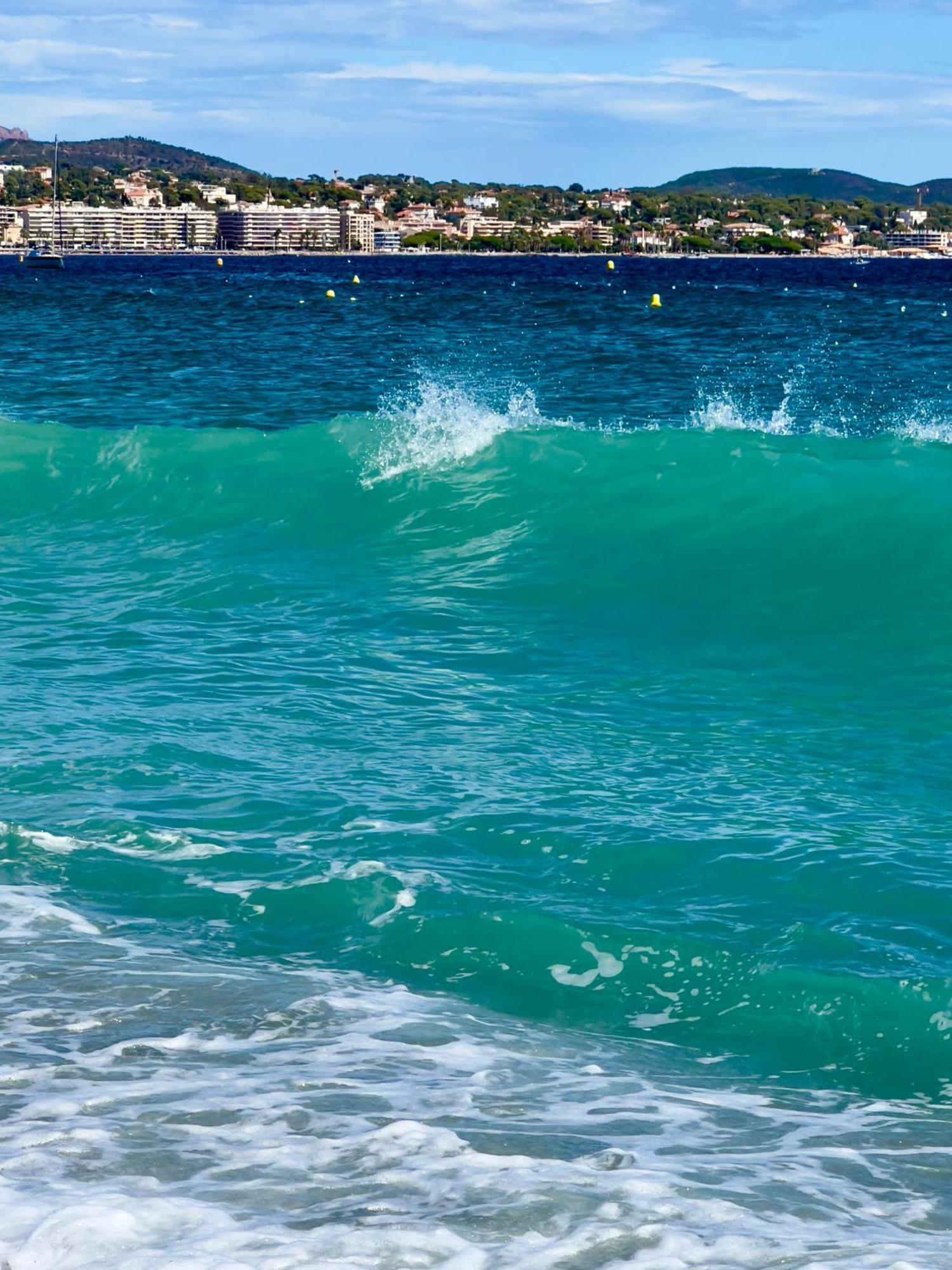 Les Cactus Frejus Plage Екстер'єр фото